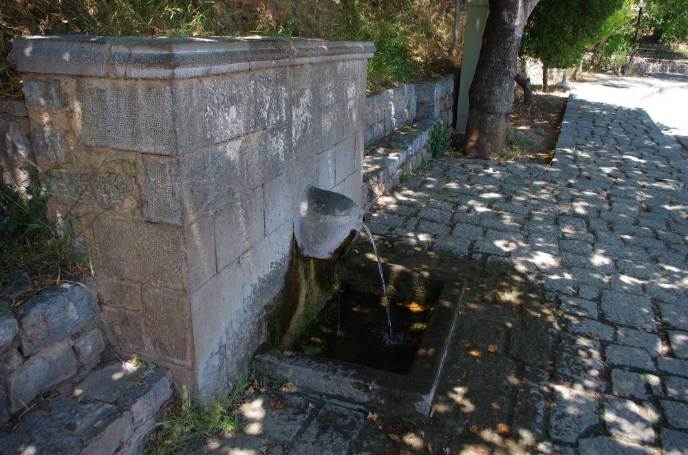 Wasserspender in Delphi
